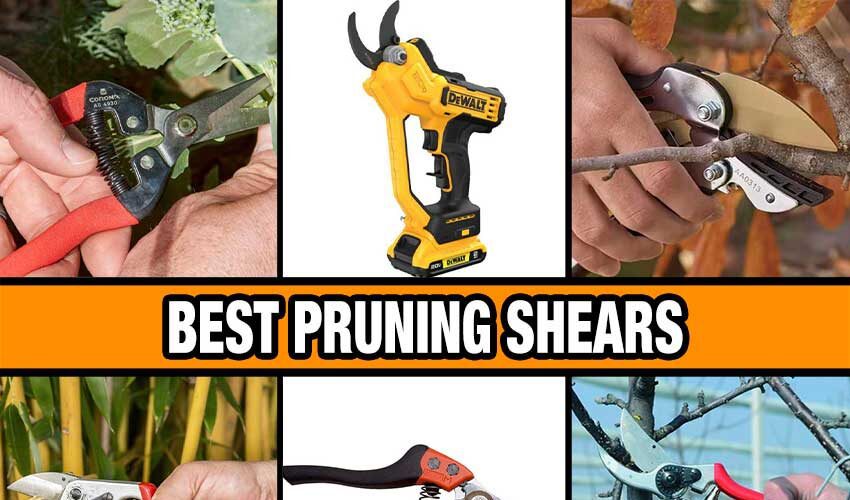 best pruning shears